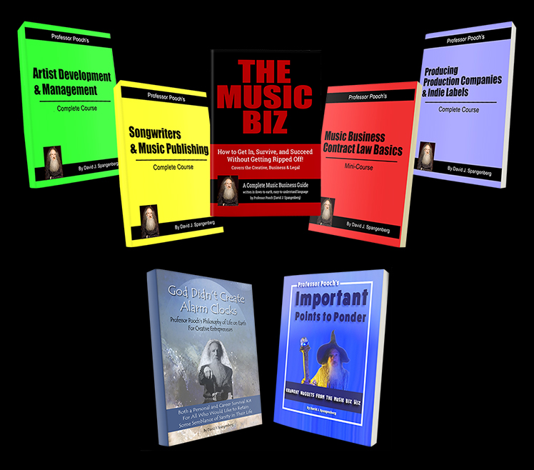 The Music Biz Book